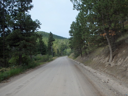 GDMBR: Southbound on Grizzly Gulch Road, Montana.